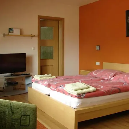 Penzión pre hostí Penzion Kraliky *